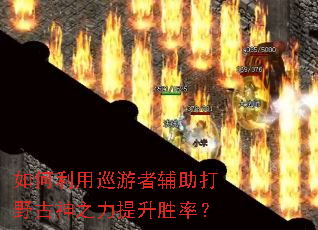 �������Ѳ���߸�����Ұ����֮������ʤ�ʣ�