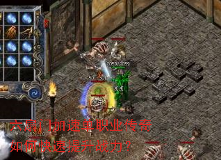 �����ż��ٵ�ְҵ������ο�������ս����