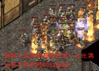 ����������λ�����ţ���Ԫ����������ȺŹBOSS��ʤ��