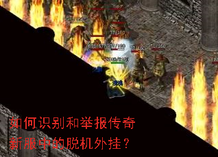 ���ʶ��;ٱ������·��е��ѻ���ң�