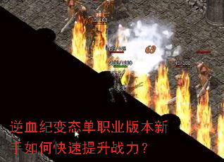 ��Ѫ�ͱ�̬��ְҵ�汾������ο�������ս����