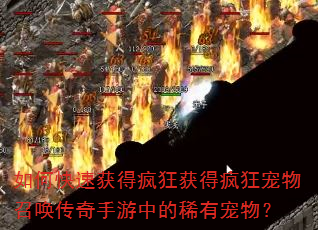如何快速获得疯狂获得疯狂宠物召唤传奇手游中的稀有宠物? 如何快速获得疯狂获得疯狂宠物召唤传奇手游中的稀有宠物?