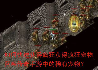 如何快速获得疯狂获得疯狂宠物召唤传奇手游中的稀有宠物? 如何快速获得疯狂获得疯狂宠物召唤传奇手游中的稀有宠物?