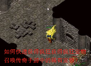 如何快速获得疯狂获得疯狂宠物召唤传奇手游中的稀有宠物? 如何快速获得疯狂获得疯狂宠物召唤传奇手游中的稀有宠物?