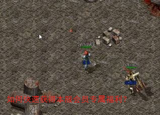如何快速获得本服会员专属福利? 如何快速获得本服会员专属福利?