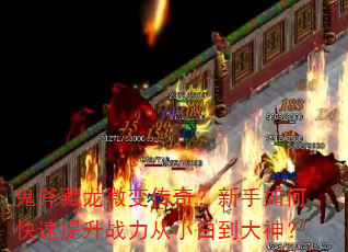 鬼斧藏龙微变传奇?新手如何快速提升战力从小白到大神? 鬼斧藏龙微变传奇?新手如何快速提升战力从小白到大神?