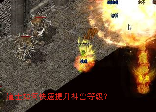 道士如何快速提升神兽等级? 道士如何快速提升神兽等级?