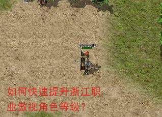 如何快速提升浙江职业傲视角色等级? 如何快速提升浙江职业傲视角色等级?