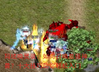 玛珐唤灵录:如何召唤最强神兽?十大技巧助你轻松入门 玛珐唤灵录:如何召唤最强神兽?十大技巧助你轻松入门