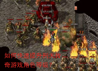 ��ο����������촫����Ϸ��ɫ�ȼ���