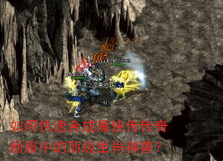 如何快速合成魔侠传传奇新服中的顶级生肖神兽? 如何快速合成魔侠传传奇新服中的顶级生肖神兽?