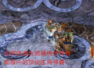 如何快速合成魔侠传传奇新服中的顶级生肖神兽? 如何快速合成魔侠传传奇新服中的顶级生肖神兽?