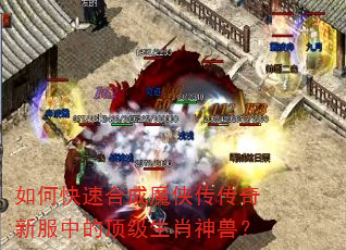 如何快速合成魔侠传传奇新服中的顶级生肖神兽? 如何快速合成魔侠传传奇新服中的顶级生肖神兽?