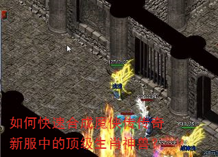 如何快速合成魔侠传传奇新服中的顶级生肖神兽? 如何快速合成魔侠传传奇新服中的顶级生肖神兽?