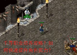 千寻职业培养攻略?如何快速提升角色实力? 千寻职业培养攻略?如何快速提升角色实力?
