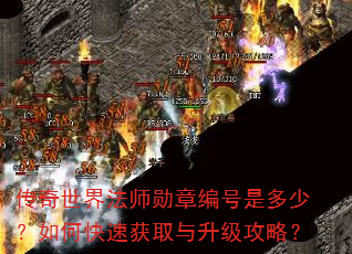 传奇世界法师勋章编号是多少?如何快速获取与升级攻略? 传奇世界法师勋章编号是多少?如何快速获取与升级攻略?