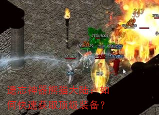 遗忘神器熊猫大陆:如何快速获取顶级装备? 遗忘神器熊猫大陆:如何快速获取顶级装备?