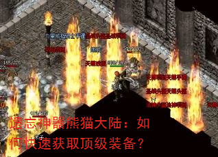 遗忘神器熊猫大陆:如何快速获取顶级装备? 遗忘神器熊猫大陆:如何快速获取顶级装备?