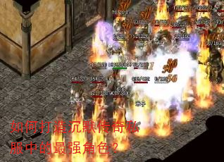 如何打造沉默传奇私服中的最强角色? 如何打造沉默传奇私服中的最强角色?