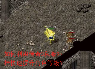 如何利用传奇3私服外挂快速提升角色等级? 如何利用传奇3私服外挂快速提升角色等级?
