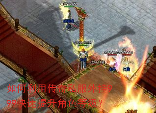 如何利用传奇私服外挂999快速提升角色等级? 如何利用传奇私服外挂999快速提升角色等级?