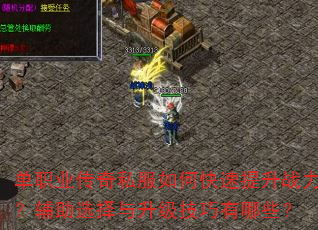 单职业传奇私服如何快速提升战力?辅助选择与升级技巧有哪些? 单职业传奇私服如何快速提升战力?辅助选择与升级技巧有哪些?