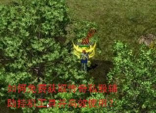 如何免费获取传奇私服辅助挂机工具并高效使用? 如何免费获取传奇私服辅助挂机工具并高效使用?