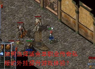 如何选择适合单职业传奇私服的外挂提升游戏体验? 如何选择适合单职业传奇私服的外挂提升游戏体验?