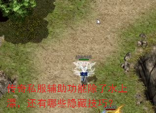 传奇私服辅助功能除了水上漂,还有哪些隐藏技巧? 传奇私服辅助功能除了水上漂,还有哪些隐藏技巧?
