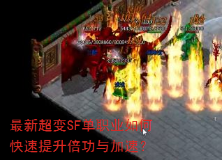 ���³���SF��ְҵ��ο���������������٣�