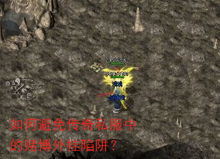 ��α��⴫��˽���еĶĲ�������壿