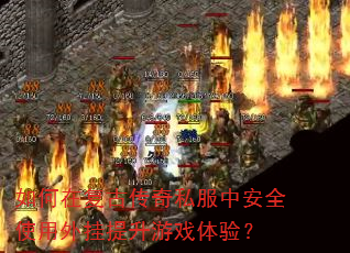 ����ڸ��Ŵ���˽���а�ȫʹ�����������Ϸ���飿