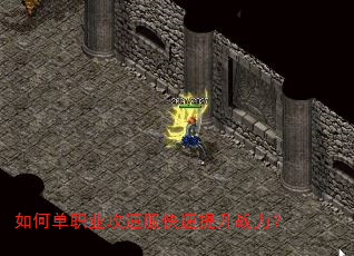 ��ε�ְҵ���ٷ���������ս����