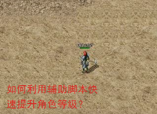 如何利用辅助脚本快速提升角色等级? 如何利用辅助脚本快速提升角色等级?