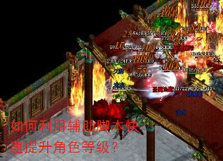 如何利用辅助脚本快速提升角色等级? 如何利用辅助脚本快速提升角色等级?