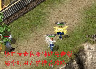 热血传奇私服辅助免费版哪个好用?求推荐攻略 热血传奇私服辅助免费版哪个好用?求推荐攻略