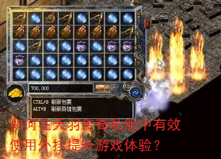 如何在天羽传奇私服中有效使用外挂提升游戏体验? 如何在天羽传奇私服中有效使用外挂提升游戏体验?