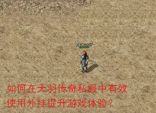 如何在天羽传奇私服中有效使用外挂提升游戏体验? 如何在天羽传奇私服中有效使用外挂提升游戏体验?