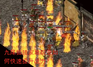 ��β�����ҵ�ְҵ��ο�������ս����