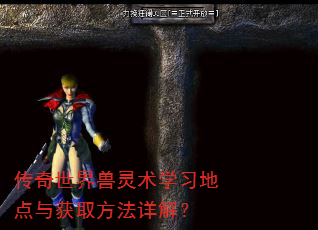 传奇世界兽灵术学习地点与获取方法详解? 传奇世界兽灵术学习地点与获取方法详解?