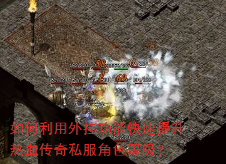 ���������ҹ��ܿ���������Ѫ����˽����ɫ�ȼ���