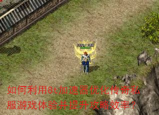 �������8t�������Ż�����˽����Ϸ���鲢��������Ч�ʣ�