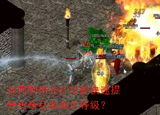 如何利用外挂功能快速提升传奇私服角色等级? 如何利用外挂功能快速提升传奇私服角色等级?
