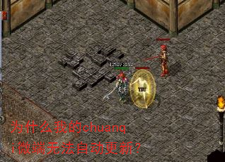 Ϊʲô�ҵ�chuanqi΢���޷��Զ����£�