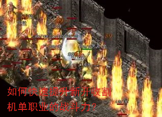 如何快速提升新开收割机单职业的战斗力? 如何快速提升新开收割机单职业的战斗力?