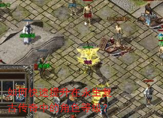 如何快速提升在永生复古传奇中的角色等级? 如何快速提升在永生复古传奇中的角色等级?
