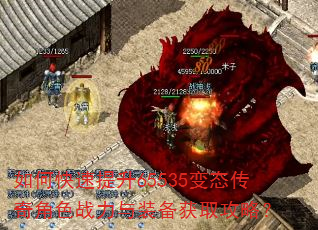 如何快速提升65535变态传奇角色战力与装备获取攻略? 如何快速提升65535变态传奇角色战力与装备获取攻略?