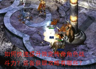 如何快速提升微变传奇角色战斗力?装备获取攻略有哪些? 如何快速提升微变传奇角色战斗力?装备获取攻略有哪些?