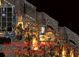 ��ο���������è��踴�Ŵ����ɫ�ȼ���