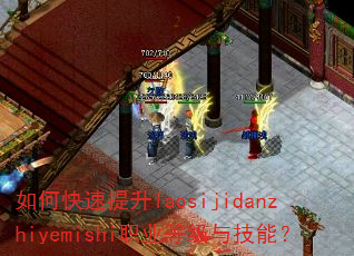 ��ο�������laosijidanzhiyemishiְҵ�ȼ��뼼�ܣ�